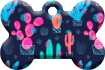 Cactus_07